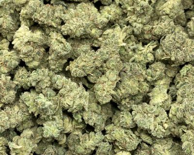 LIME SKUNK smalls (EXOTIC OZ DEAL!) - Image 1